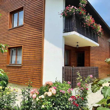 Aleksandar Apartmani Pale Exteriör bild
