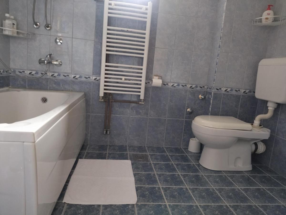 Aleksandar Apartmani Pale Exteriör bild