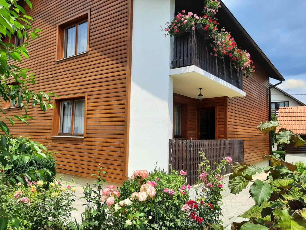 Aleksandar Apartmani Pale Exteriör bild